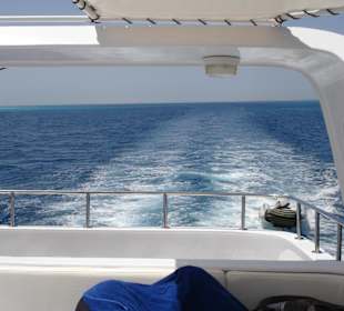 Rückblick: Sehr empfehlenswert!