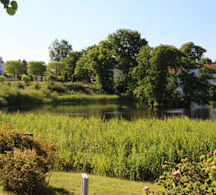 Sumpfgelände um das Schloss