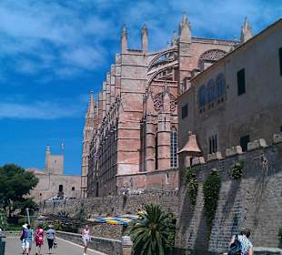 Palma