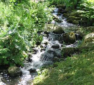 Rauschendes Bächlein