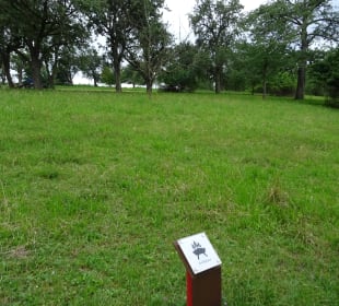 Im und ums Tapachtal