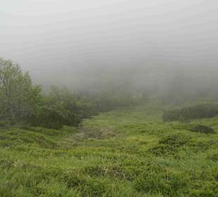Karkonoski Park Narodowy