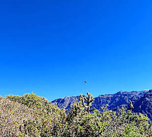Colca-Canyon