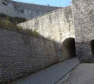 Premiumwanderweg hochgehkeltert Neuffen