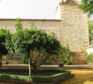 Excursión a Jerez