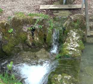 Wandertour durchs Reissenbachtal Oberhausen