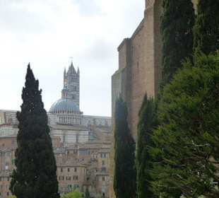 Ausflug nach Siena