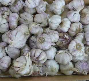 In der Markthalle von Santa Cruz de Tenerife