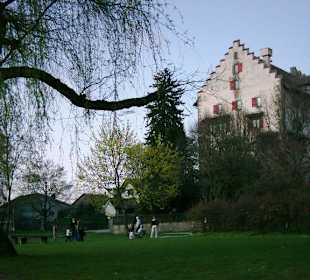 Schloss Greifensee