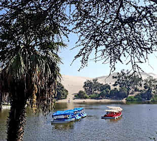 Oase Huacachina