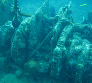 Wrack Leslie M. / Highlight St. Lucia