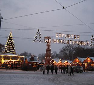 Erfurter Weihnachtsmarkt