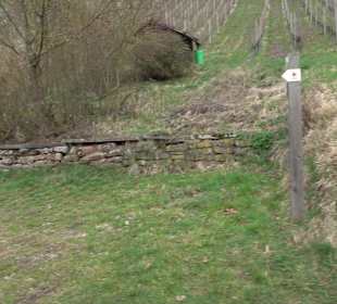 Unterjesinger Wengertwegle