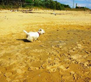 Ende September 2010 Inspirationen