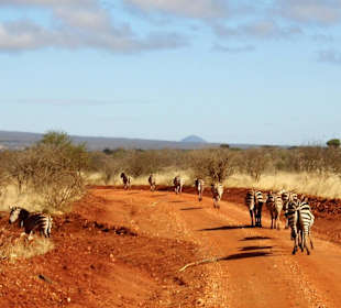 Nennt man das "Zebrastreifen" ?