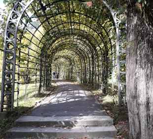 Schoßpark im Herbst