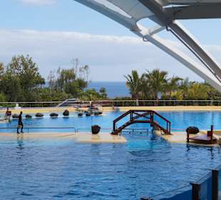 Orca Becken mit super ausblick