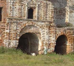 Ruine Abtei Levsnovskoye