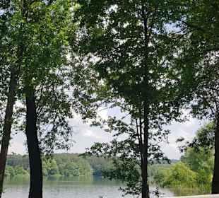 Der kleine Brombachsee im Bild