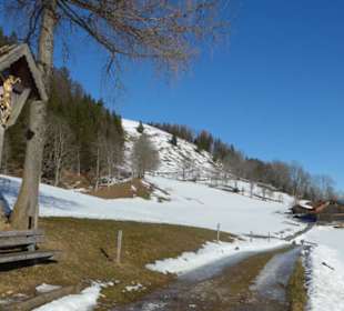 Berggasthof Hohe Asten