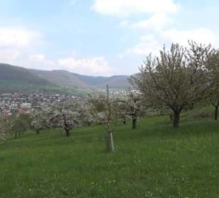 Kirschenweg