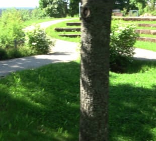 Pumptrack Pfalzgrafenweiler
