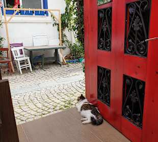 Stadtrundgang Sigacik