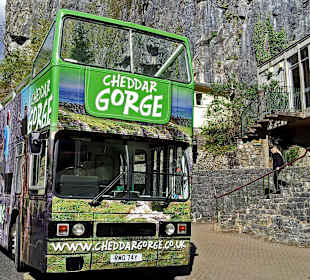 The Cheddar Gorge Sight Seeing Bus!