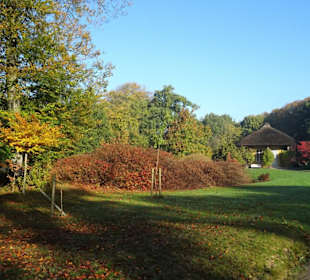 Herbstspaziergang durch den Schlosspark Lütetsburg