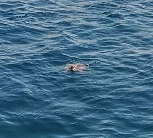 Gab es auch manchmal zu sehen