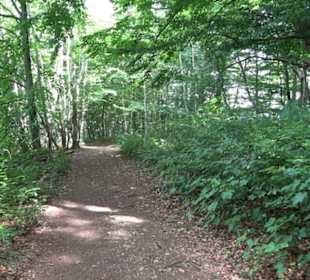 Hochgeträumt Premiumwanderung
