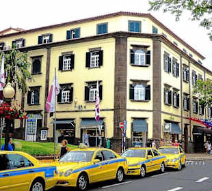 In der Avenida Arriaga in Funchal