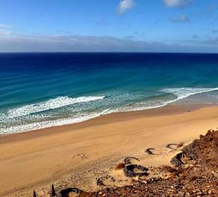 Bei Costa Calma / Windsurfing 