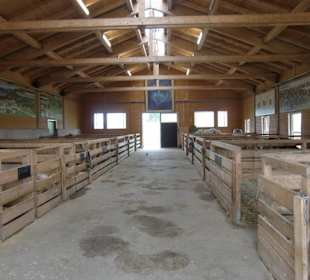 Stallungen