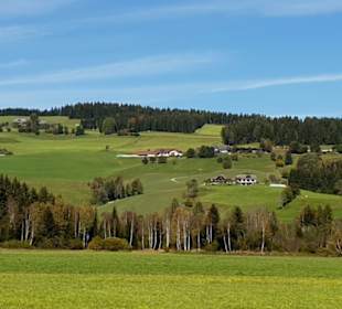 Dobramoor