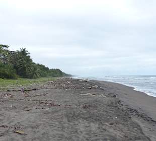 Strand Tortuguero