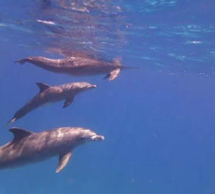 Und wir waren dabei, zum Anfassen nah