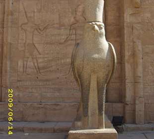 Horus