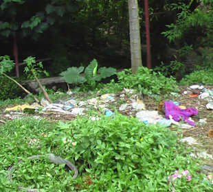 Leider nur Abfall zu sehen 