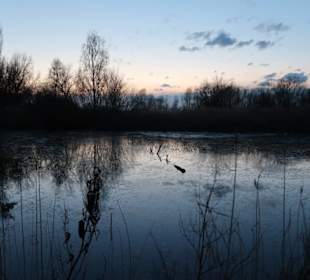 Seeimpressionen