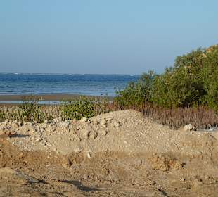 Tauchen Mangrove Bay El Quseir