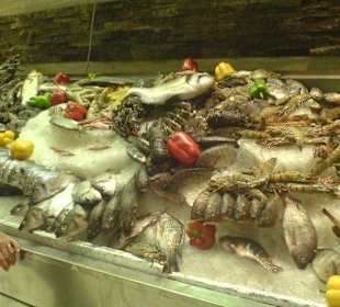 Star Fisch Restaurant