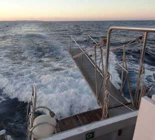 Rückfahrt nach Malta