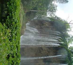 wunderschöne Natur pur