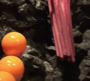 Naturparkzentrum Ruhestein