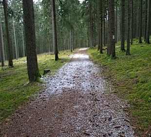 Sport & Freizeit