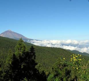 Parque del Teide