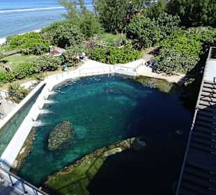 Blick auf das Außengelände der Station