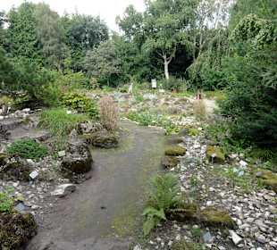 Rundgang durch den Botanischen Garten Oldenburg