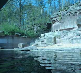 Eisbären - Anlage